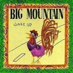 CD Big Mountain - Wake Up